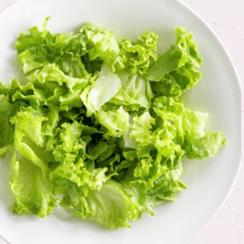 Insalata Verde - Grüner Salat