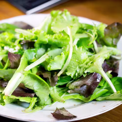 Insalata Verde