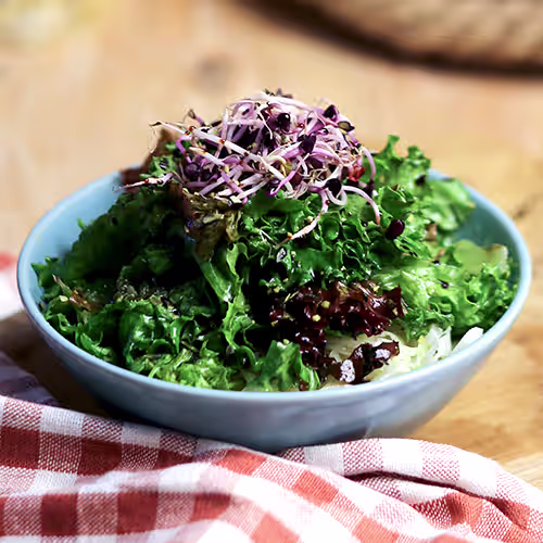 Grüner Salat