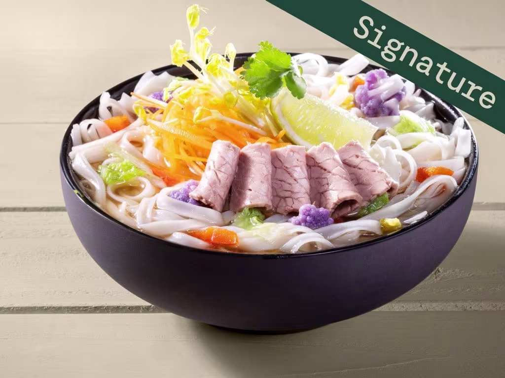 HANOI NOODLE POT with BEEF