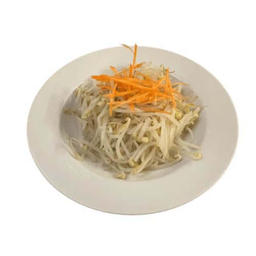 Soja Sprossen Salat