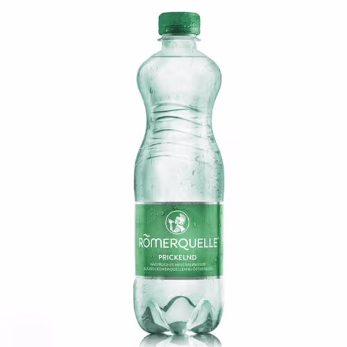 Römerquelle prickelnd 0,5l
