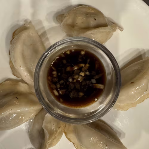 Gyoza Teigtaschen mit Hühnerfleisch