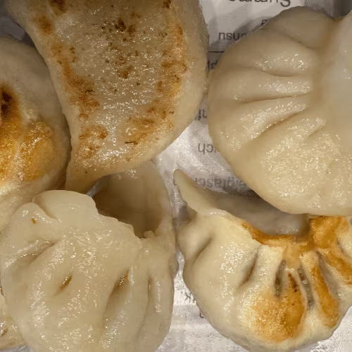 Gyoza Teigtaschen mit Gemüse