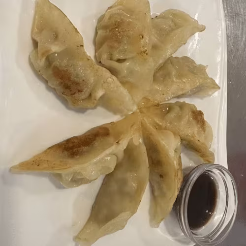 Yasai Gyosa (8 Stück)