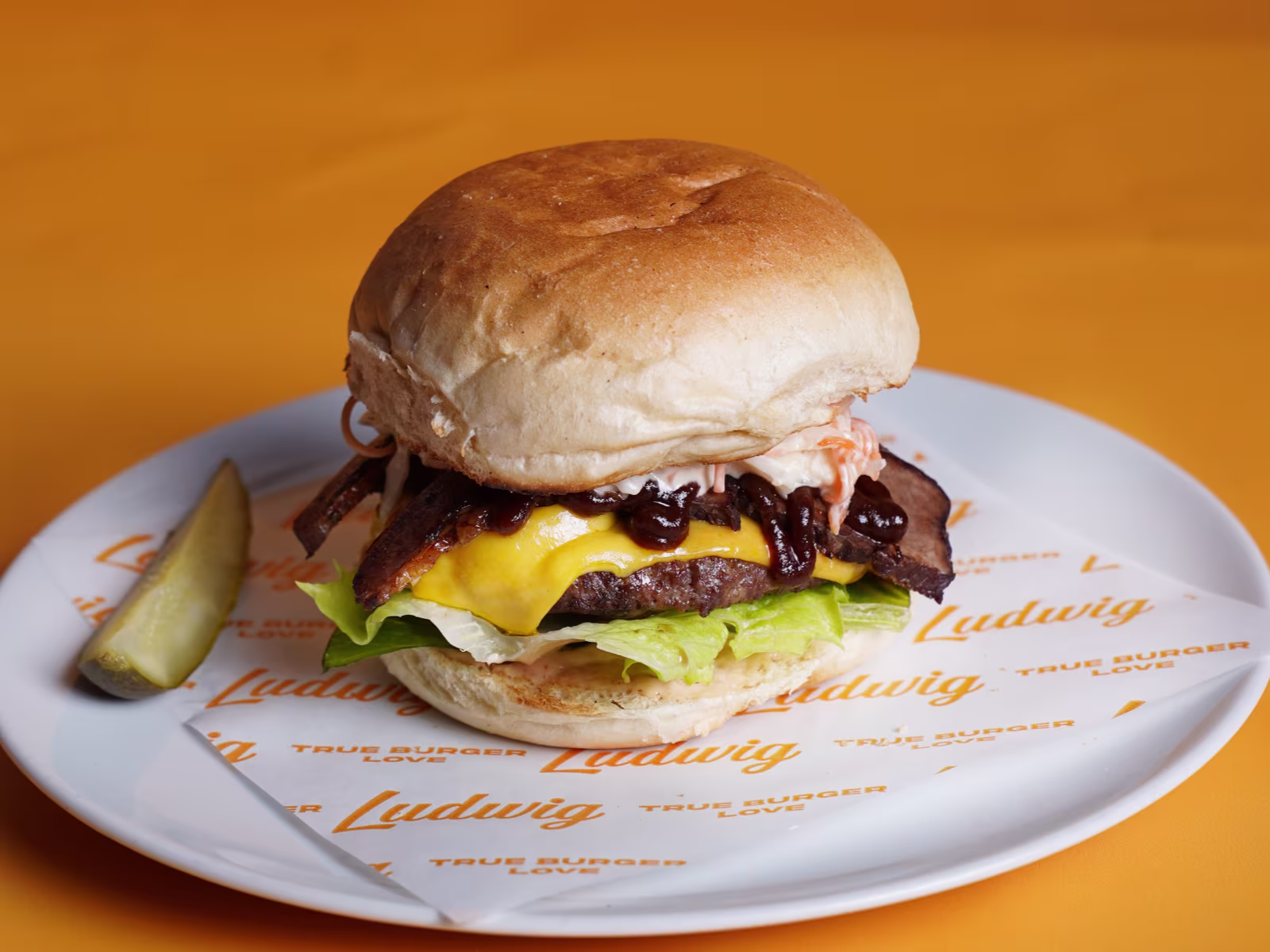 Ludwig Burger
