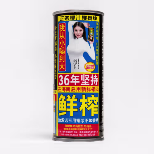 Kokosnussmilch 0,25l