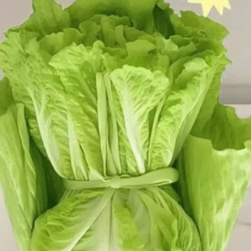 Grüner Salat