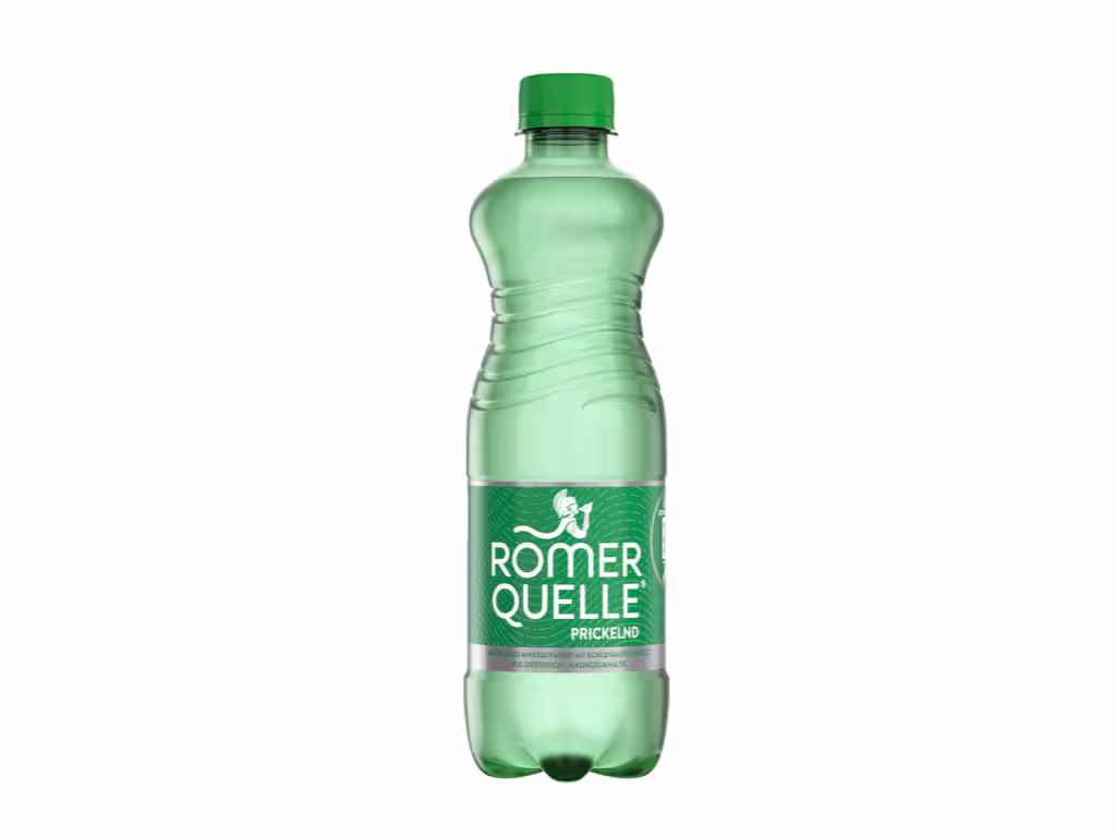 Wasser Prickelnd 0,5l