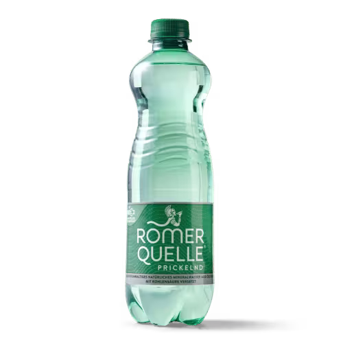 Wasser Prickelnd 0,5