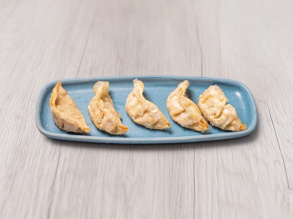 Veggie Gyoza Dumplings