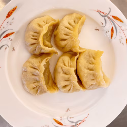 V19a Jiao Zi schweinefleisch (5 Stück)