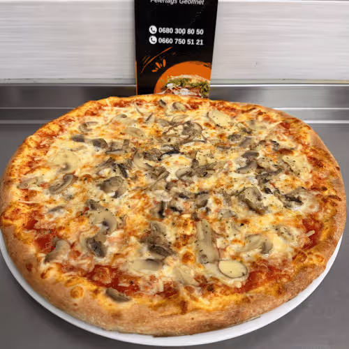 Pizza Funghi