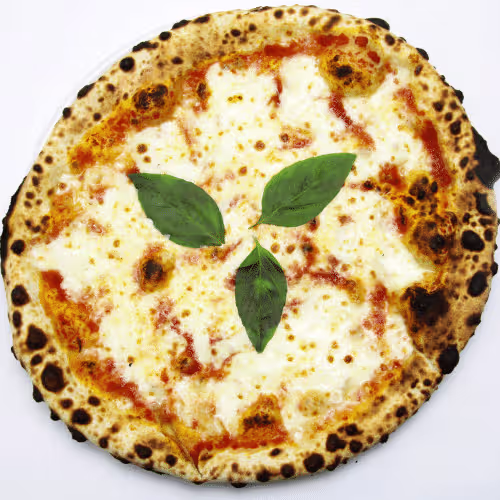 Pizza Margherita