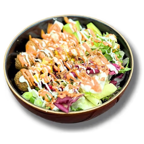 Falafel Fusion Bowl