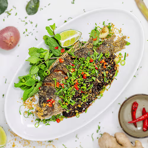 Tilapia