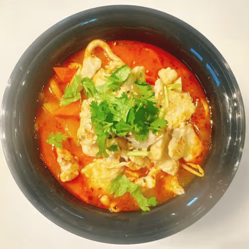 Udon-Nudelsuppe mit Thai Curry Huhn
