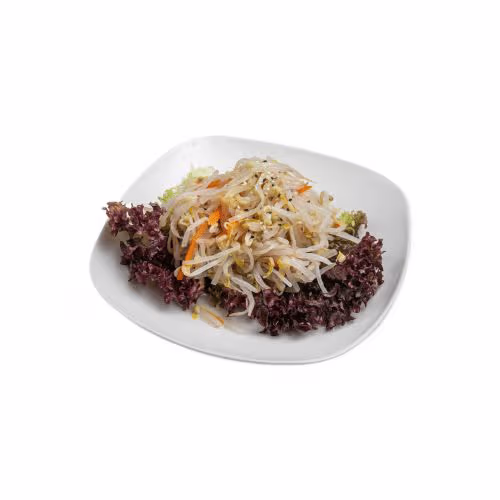 Sojasprossen Salat