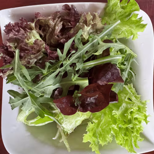 Insalata Verde (vegetarisch)