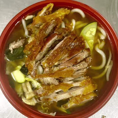 Ente Udon