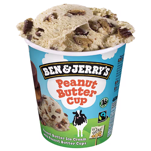 Ben & Jerry's Peanut Butter Cup 100ml