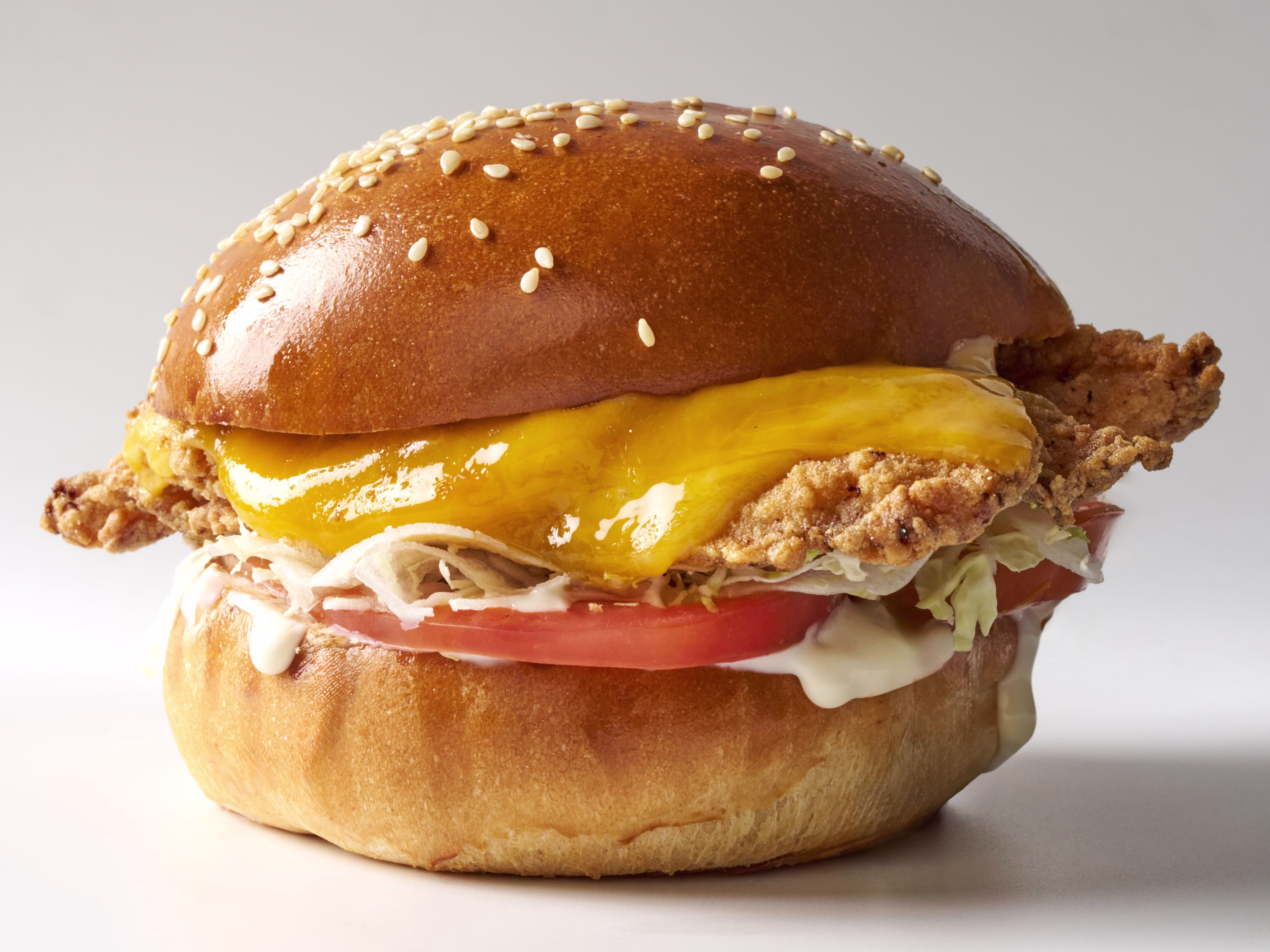 Crispy Chicken Burger