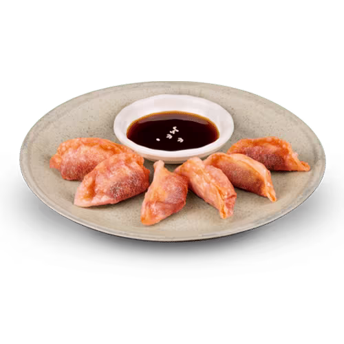 Quinoa Gyoza