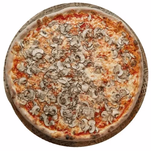 Pizza Funghi