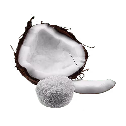 Coconut Mochi