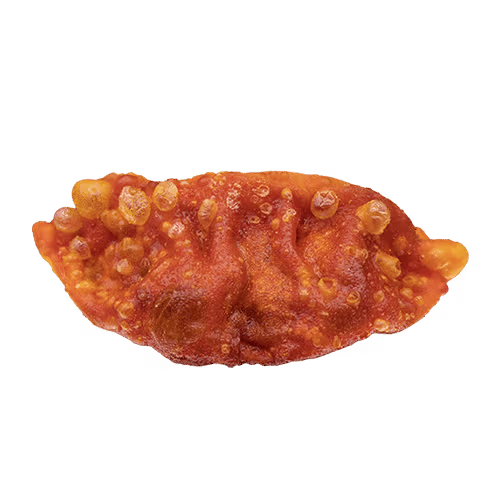 Gyoza Kimchi (4 Stück)