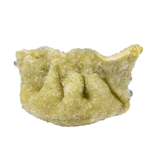 Gyoza Vegan (4 Stück)