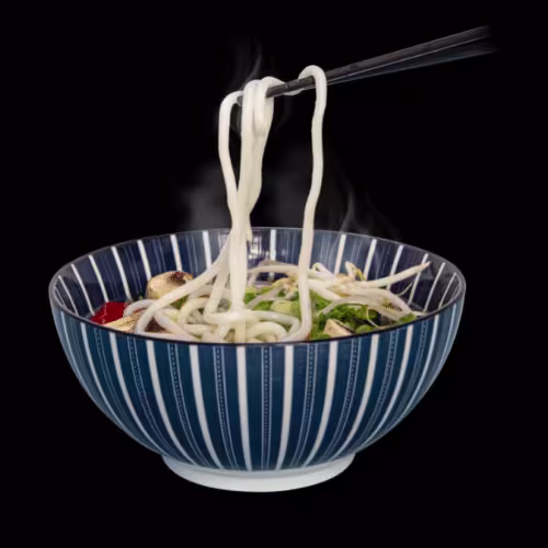 Gemüse Udon