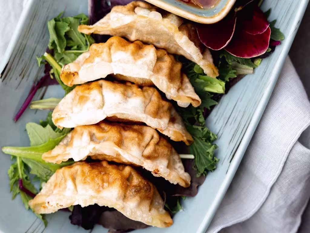 Gyoza Chicken (5 Stück)