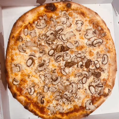 Pizza Funghi