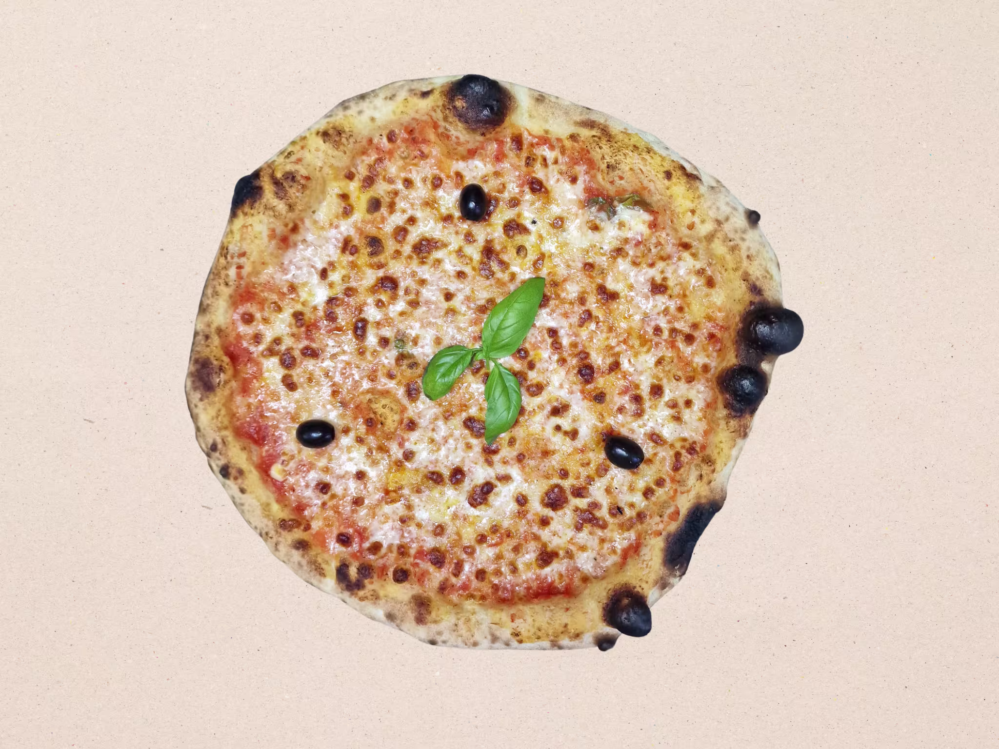 Pizza Margherita