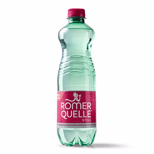 Wasser 0,5l