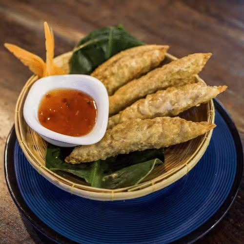 Veggie Gyoza