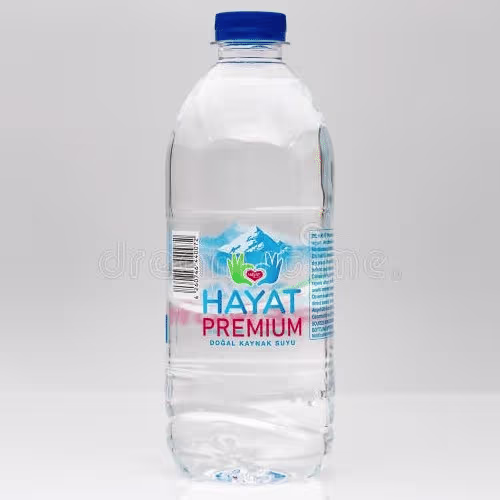 Hayat Premium Wasser 0,5l