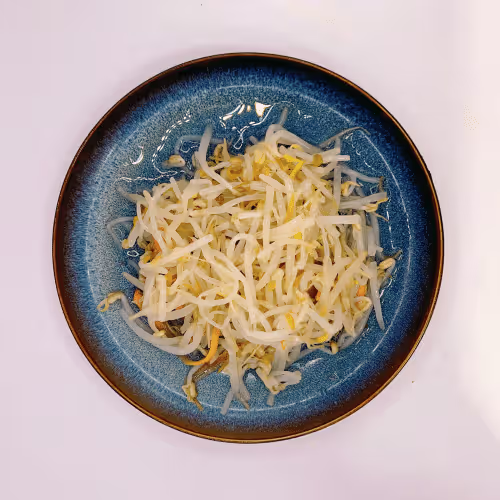 Moyashi Salat (vegetarisch)