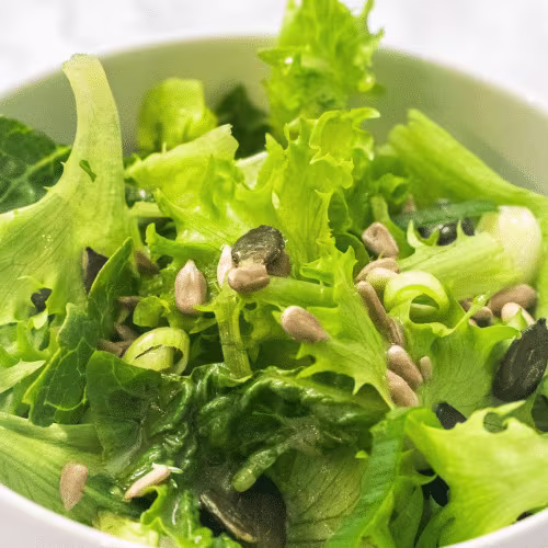 Grüner Blattsalat (klein)