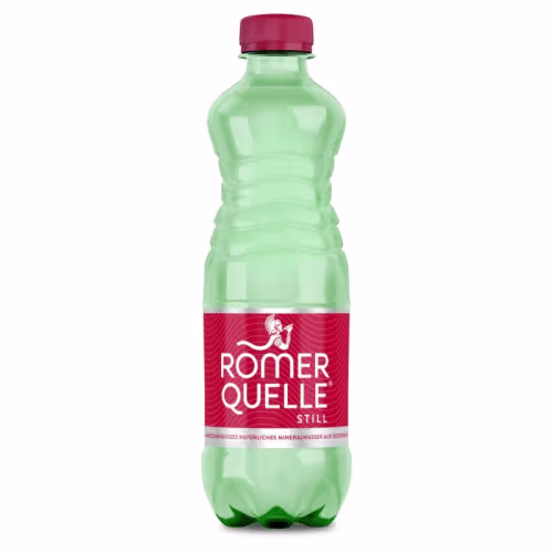 Stilles Wasser 0,5l