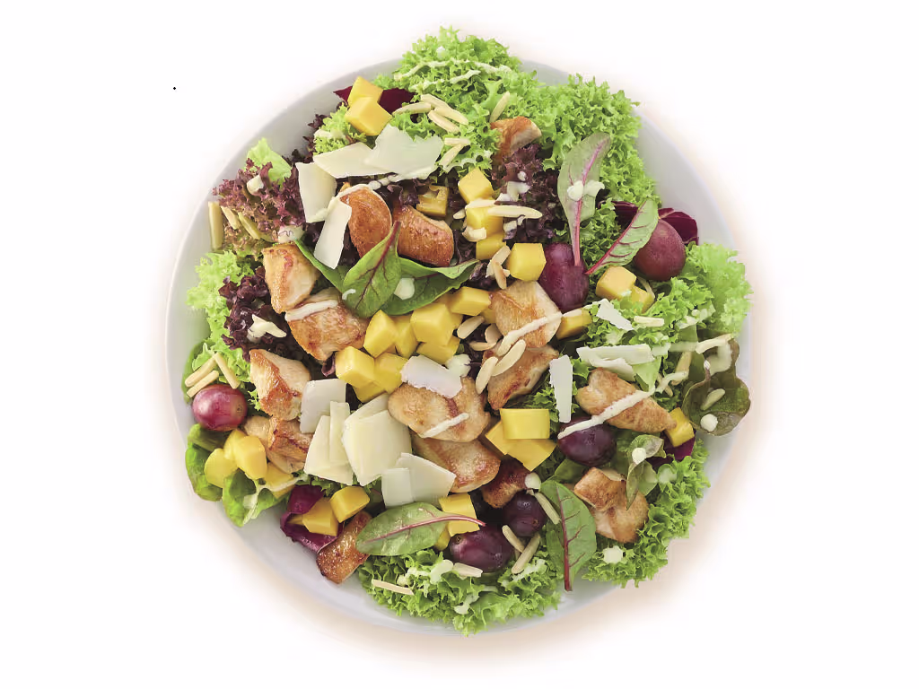 planted Chicken Oriental Salad