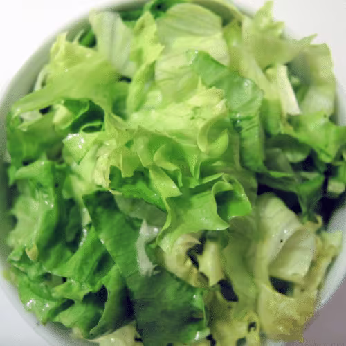 Grüner Blattsalat