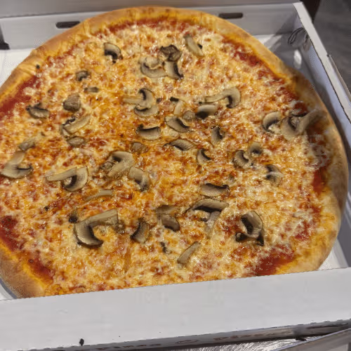 Pizza Funghi