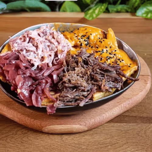 Pulled Beef Fries