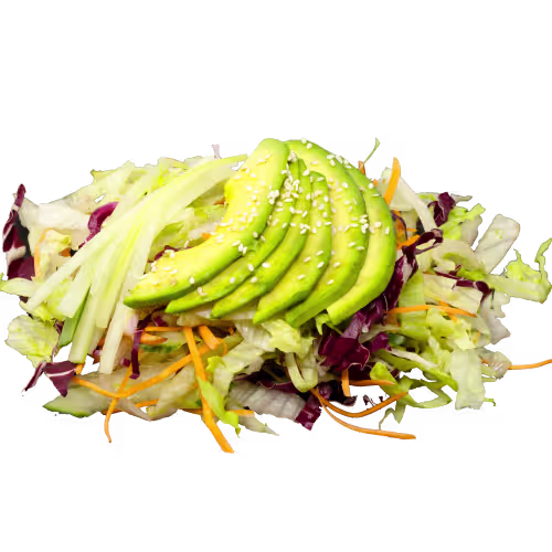 Avocado Salat (vegetarisch)