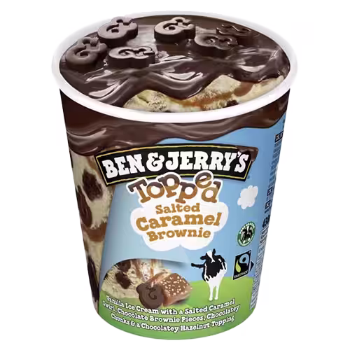 Topped Salted Caramel Brownie 438ml
