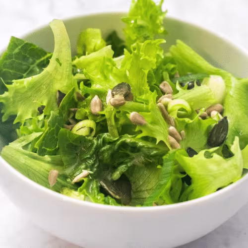 Grüner Blattsalat (klein)
