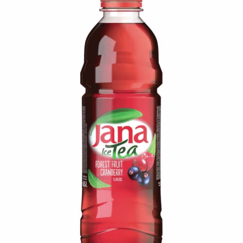 Jana Eistee Waldfrucht Preiselbeere 0,5l