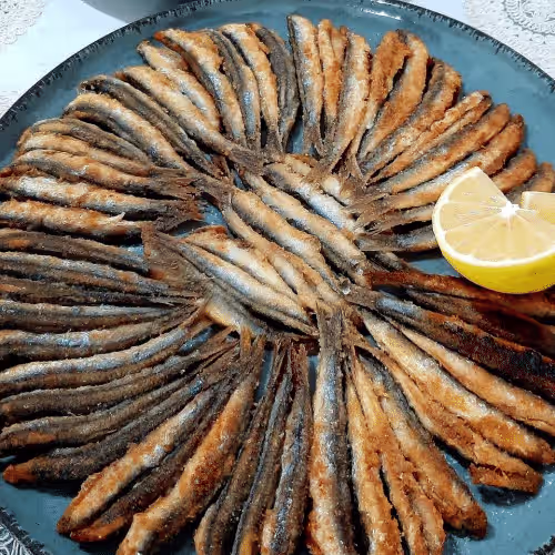 Tava Hamsi